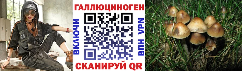 Галлюциногенные грибы прущие грибы  наркота  Зеленокумск 